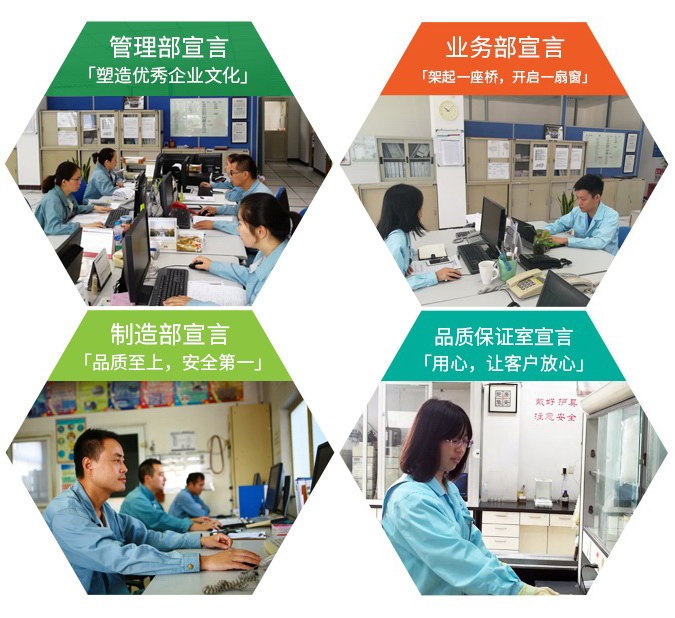 我们的团队